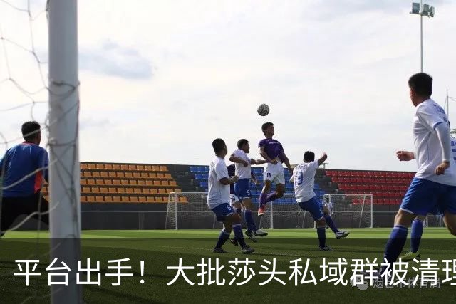 平台出手！大批莎头私域群被清理，饭圈乱象整治，全网纷纷叫好